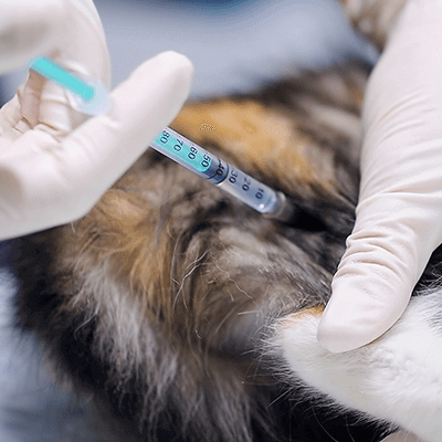 Pet-Vaccinations
